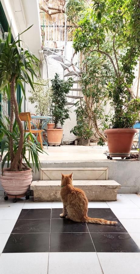 Athenian Yard Near Acropolis Villa Bagian luar foto